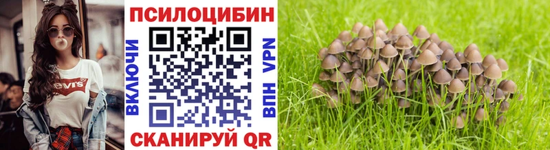 Псилоцибиновые грибы GOLDEN TEACHER площадка какой сайт Кохма